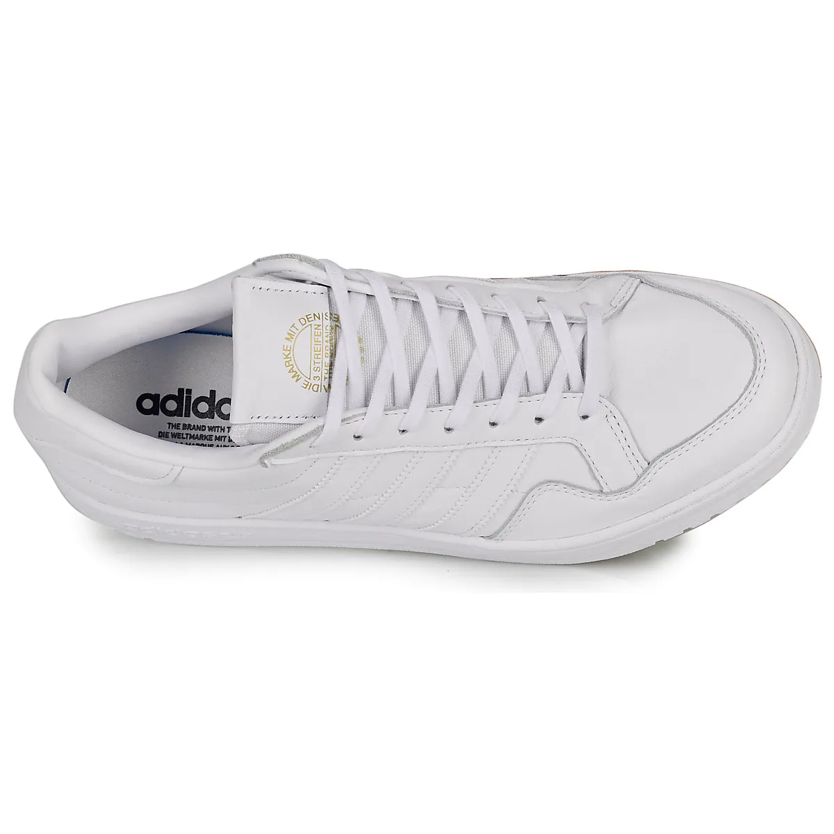 MODERN 80 EUR COURT
