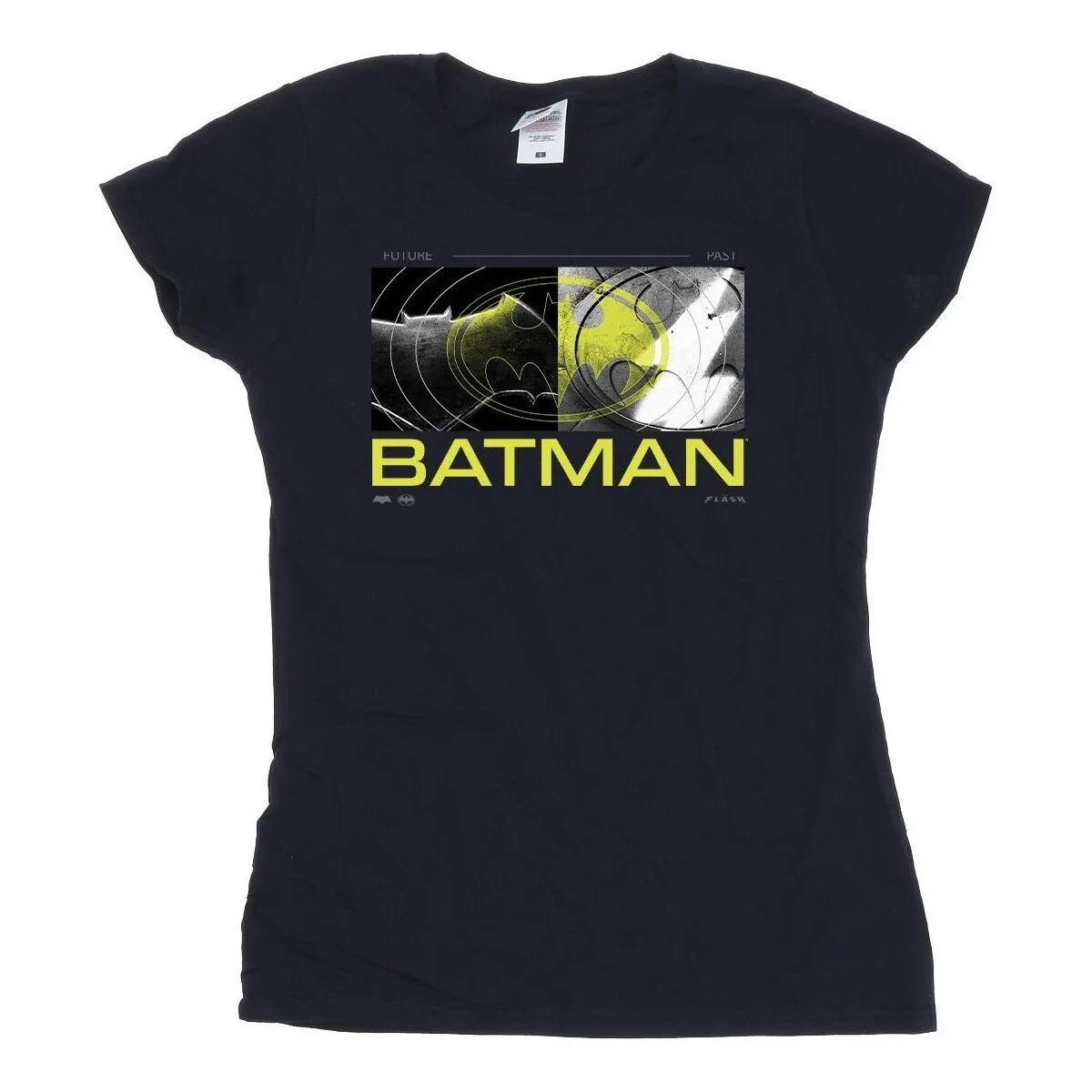 The Flash Batman Future To Past