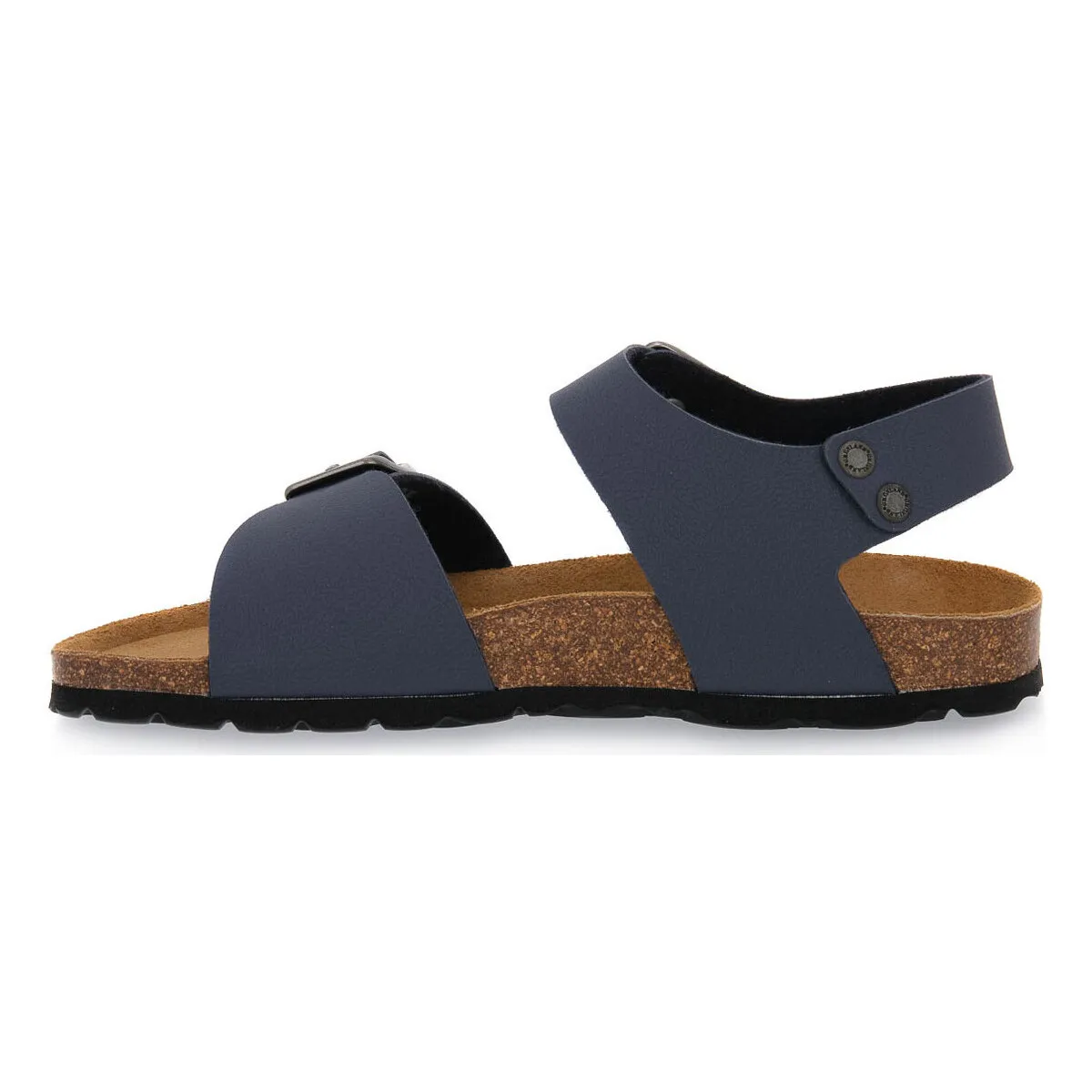 TORTORA BLU 40LUCE