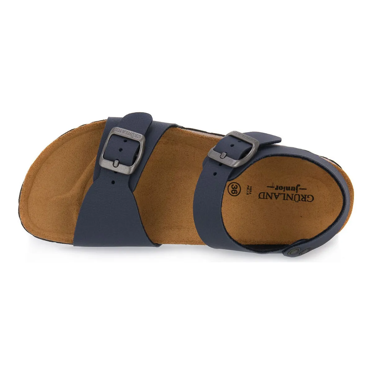 TORTORA BLU 40LUCE